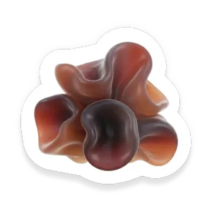 Wood Ear Mushroom