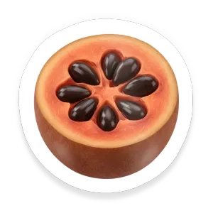 Zapote (Mamey Sapote)