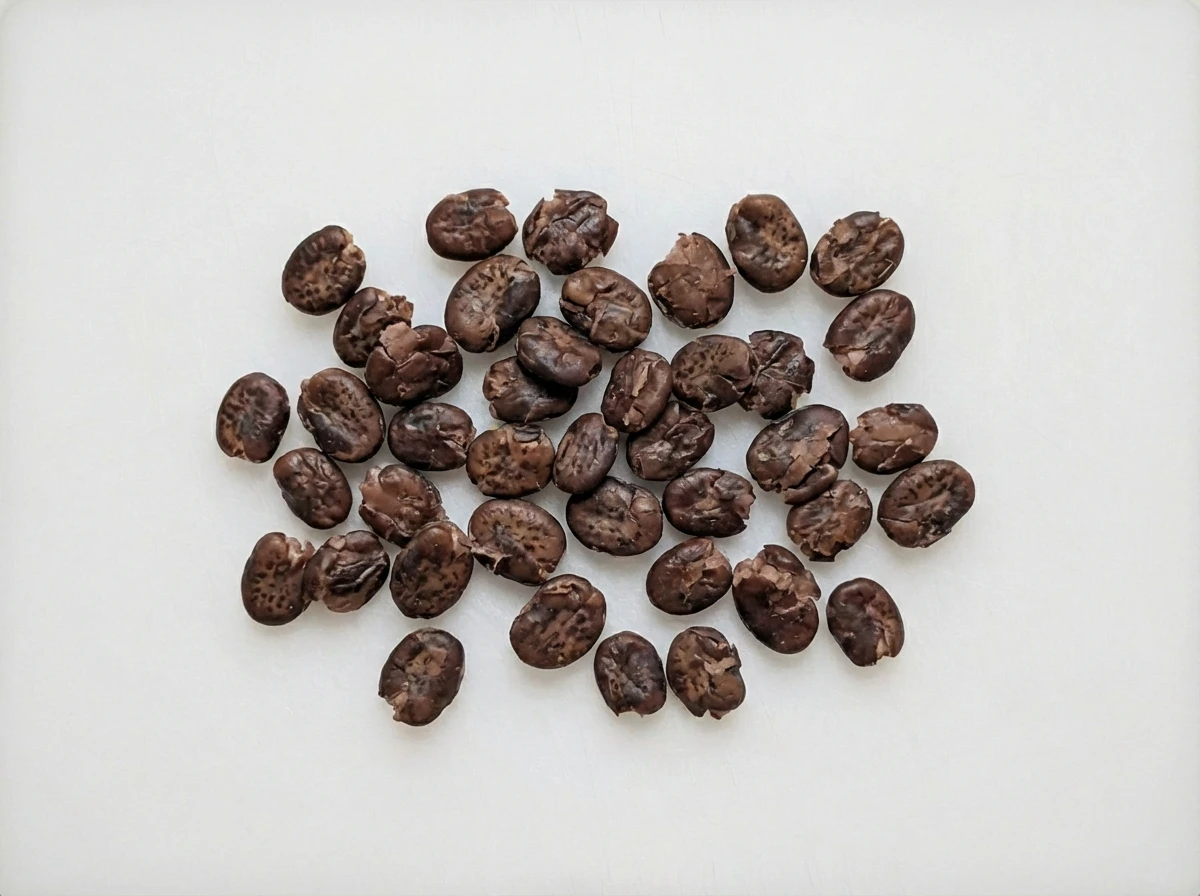 How to prepare Black Beans for 9 months +