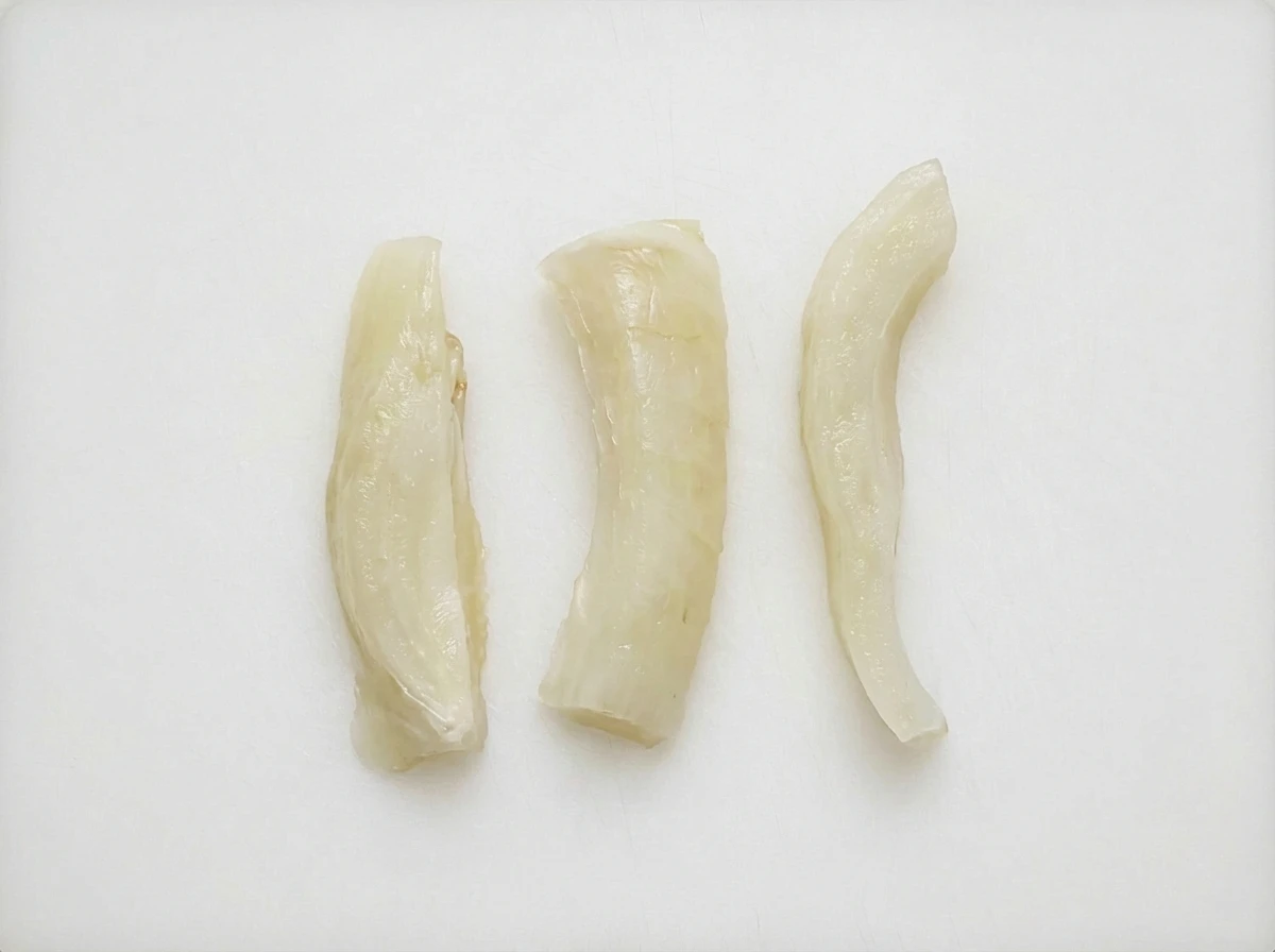 Fennel
