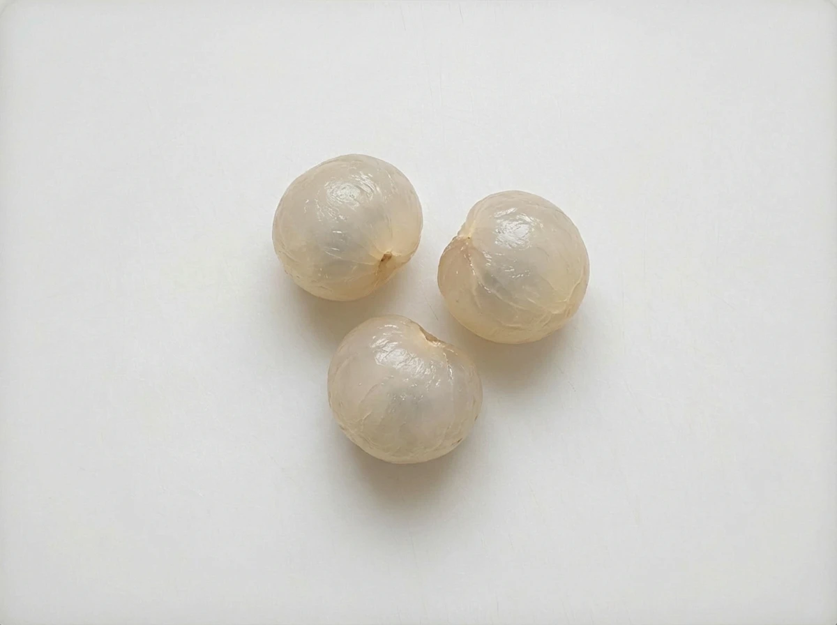 How to prepare Longan for 24 months +