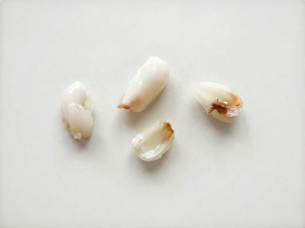 How to prepare Lychee for 9 months +