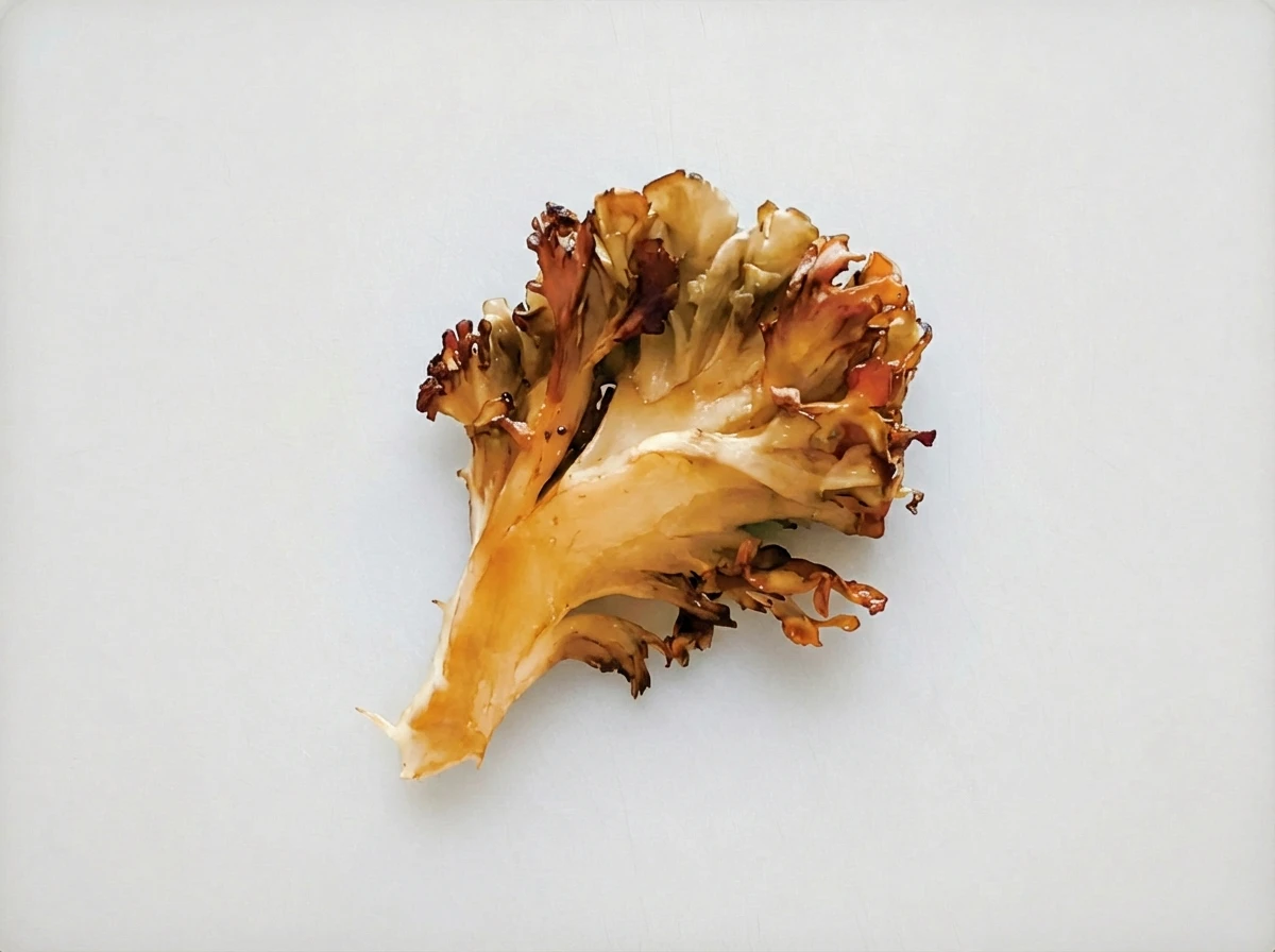 Maitake (Hen-of-the-Woods)