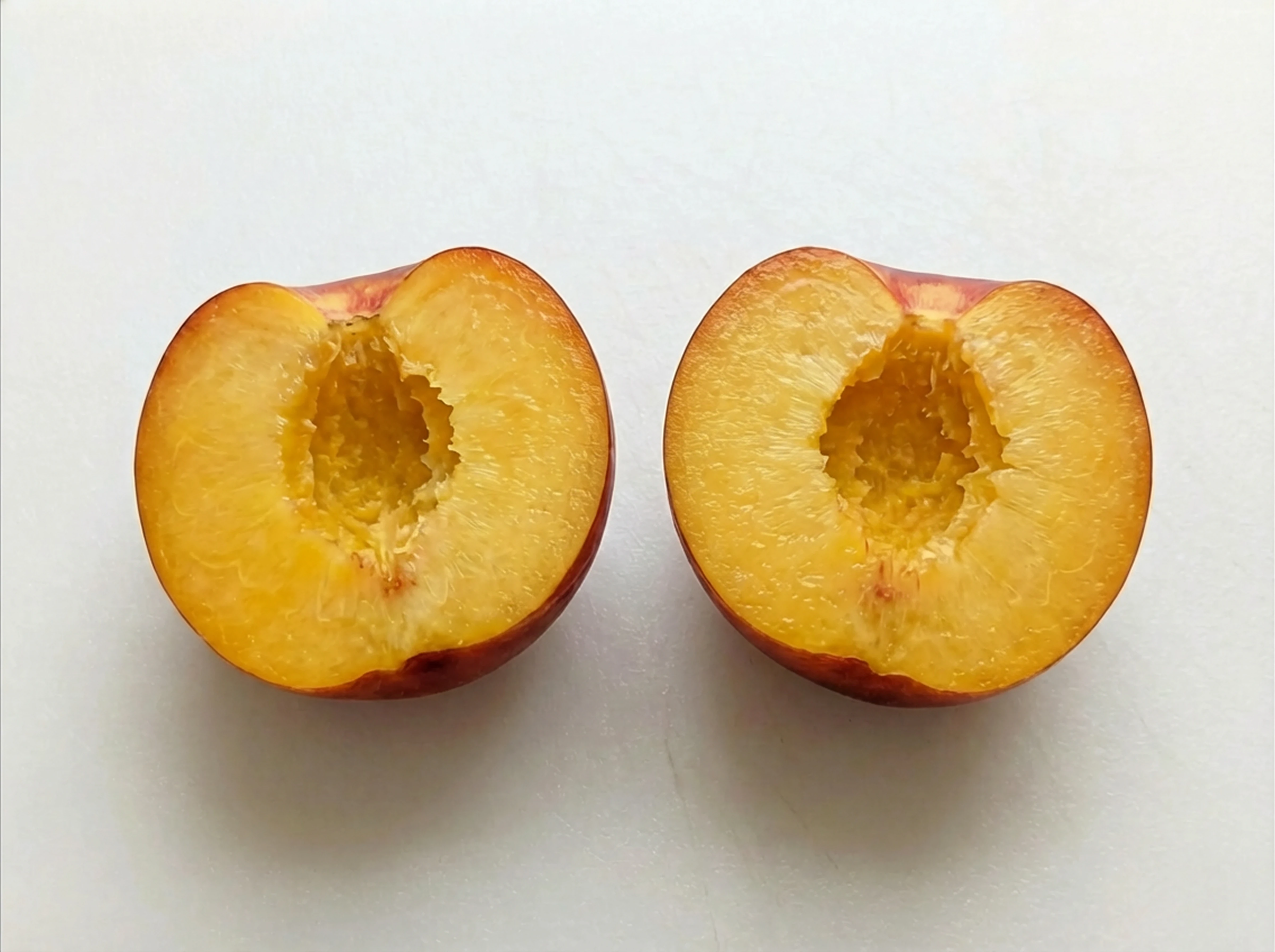 Nectarine