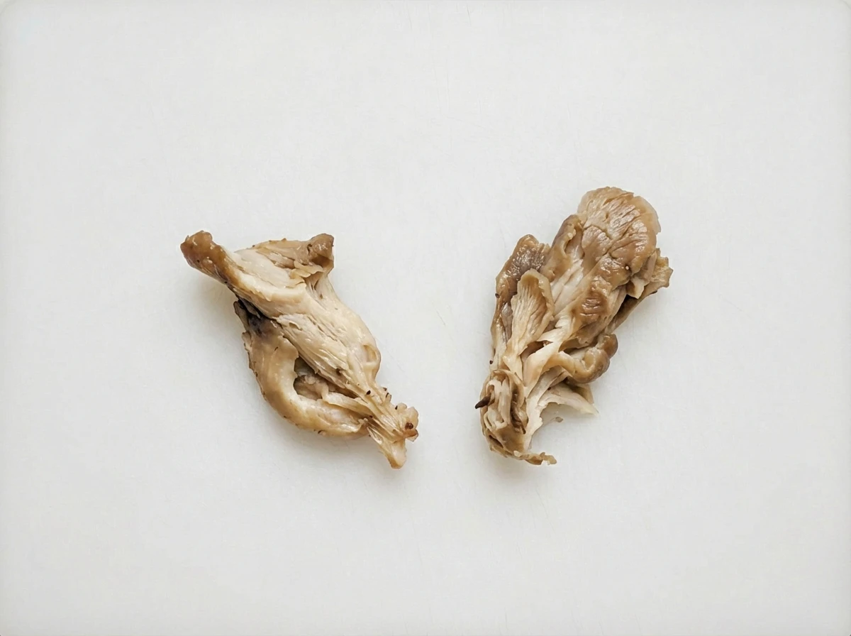 How to prepare Oyster Mushroom for 18 months +