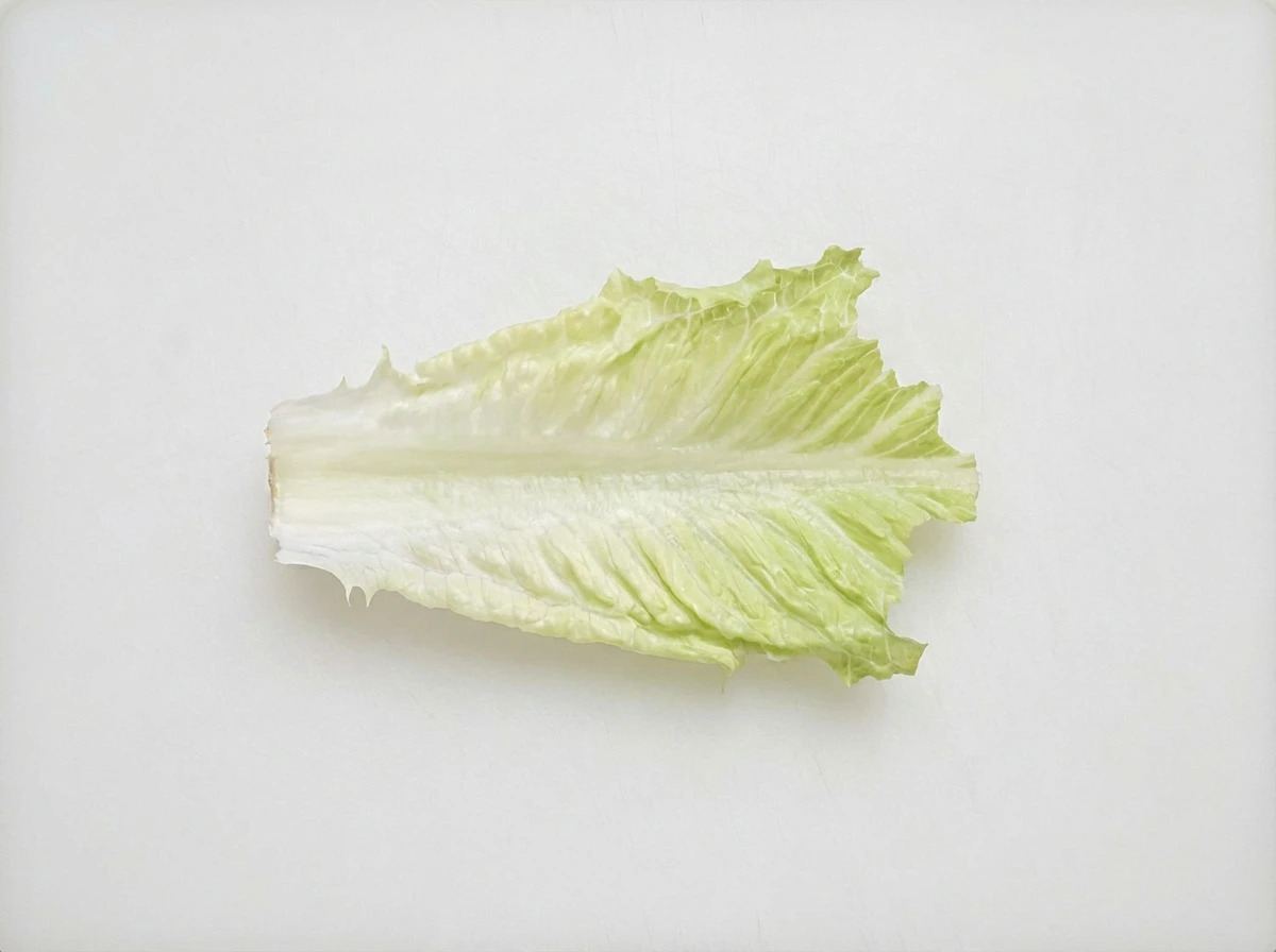 Romaine