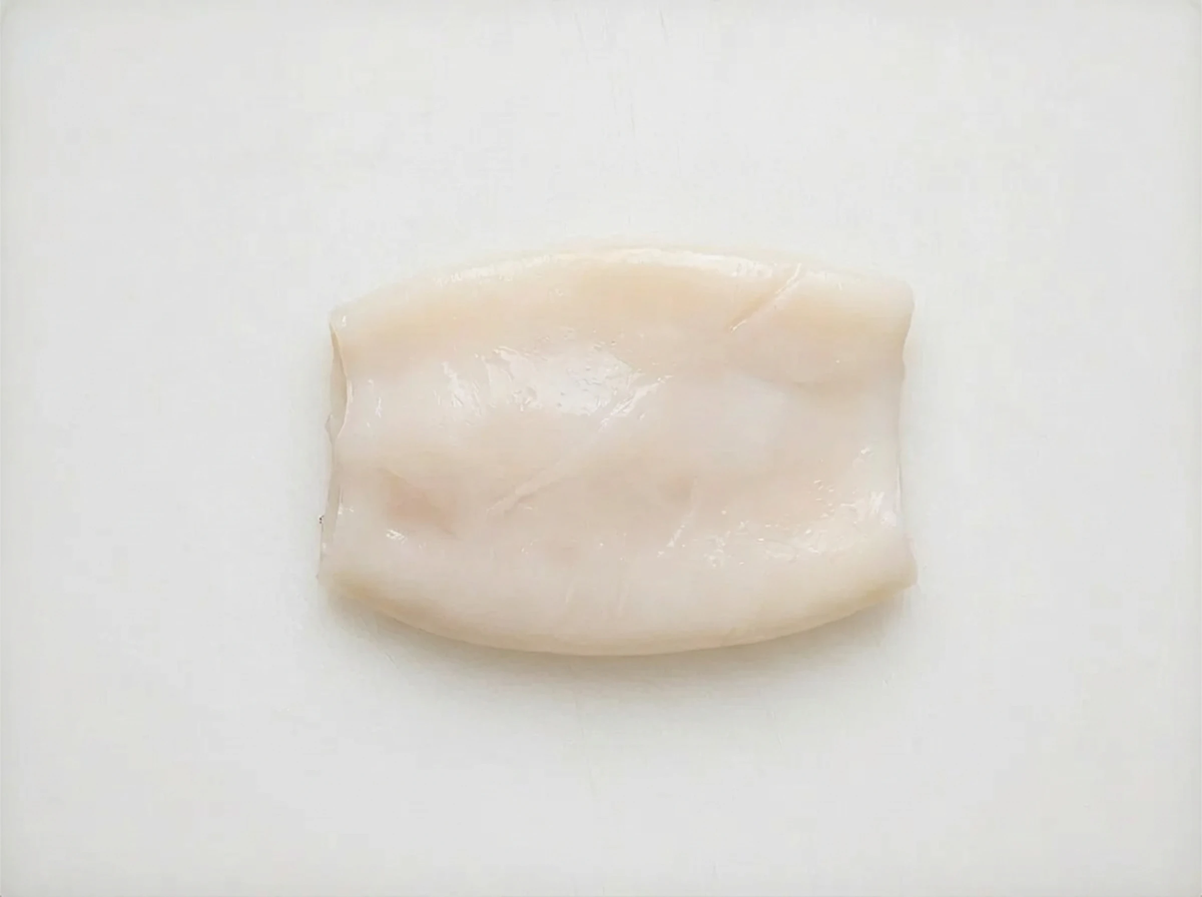 Squid