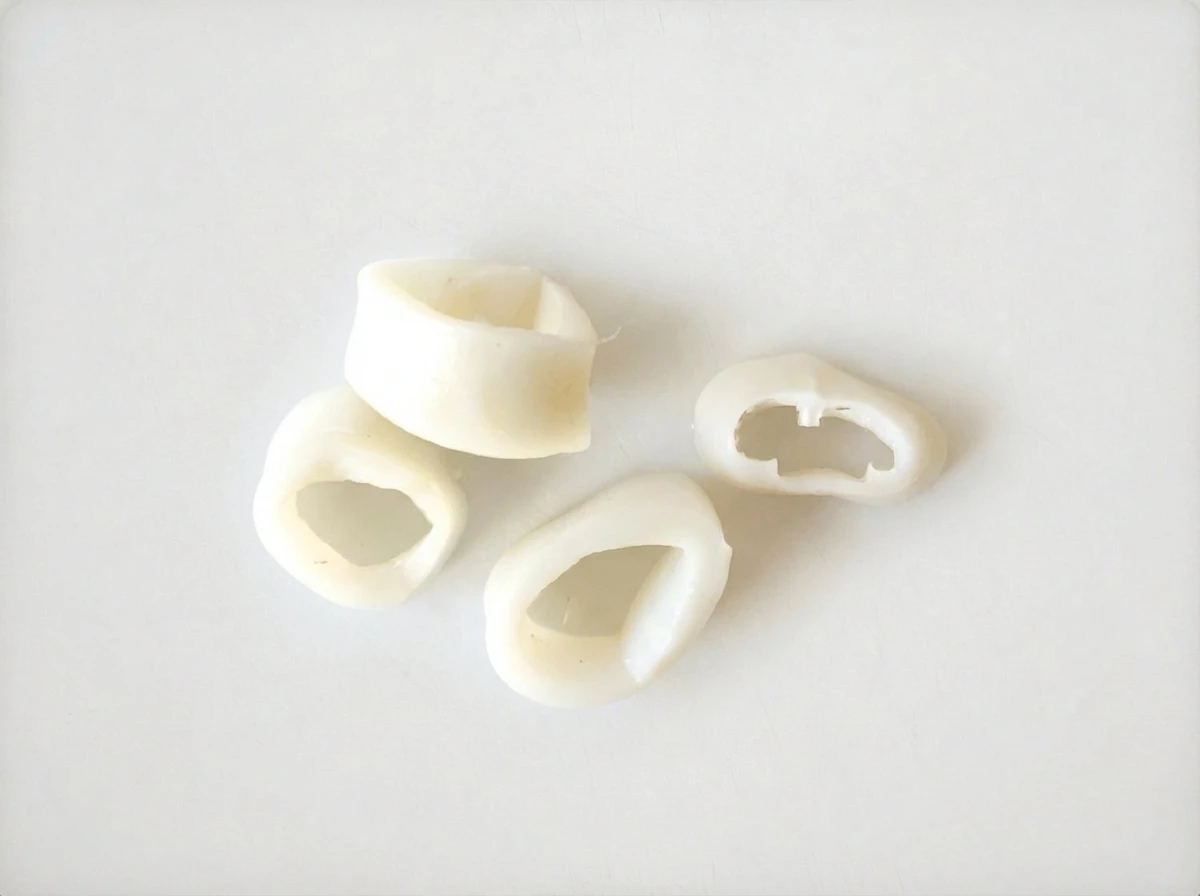How to prepare Squid for 18 months +
